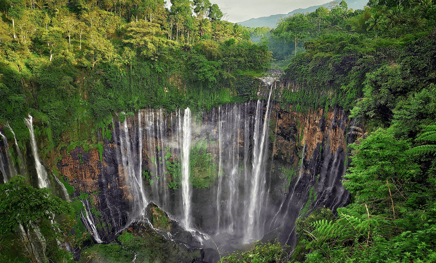 Discover the Beauty of Banyuwangi & Bondowoso